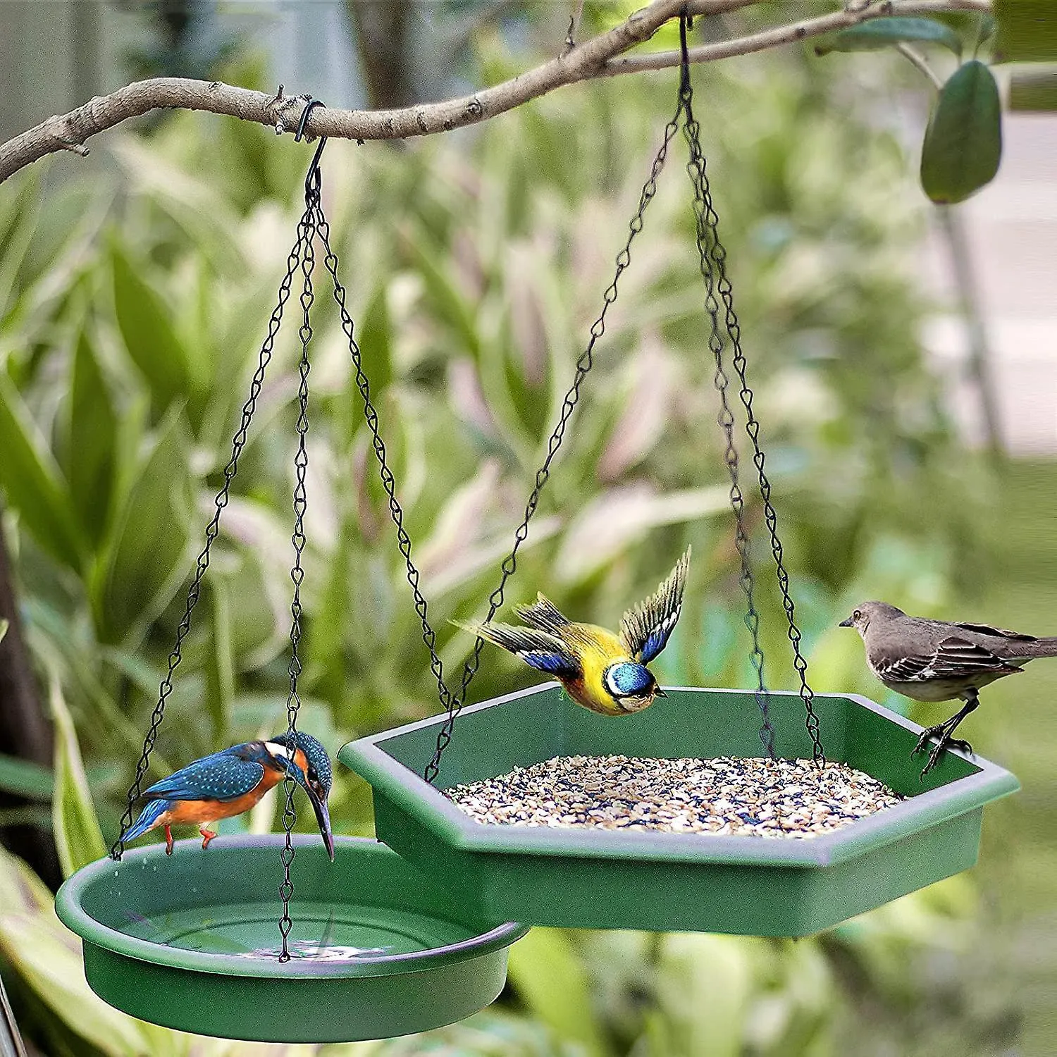 2 in 1 Bird Feeder & Bath
