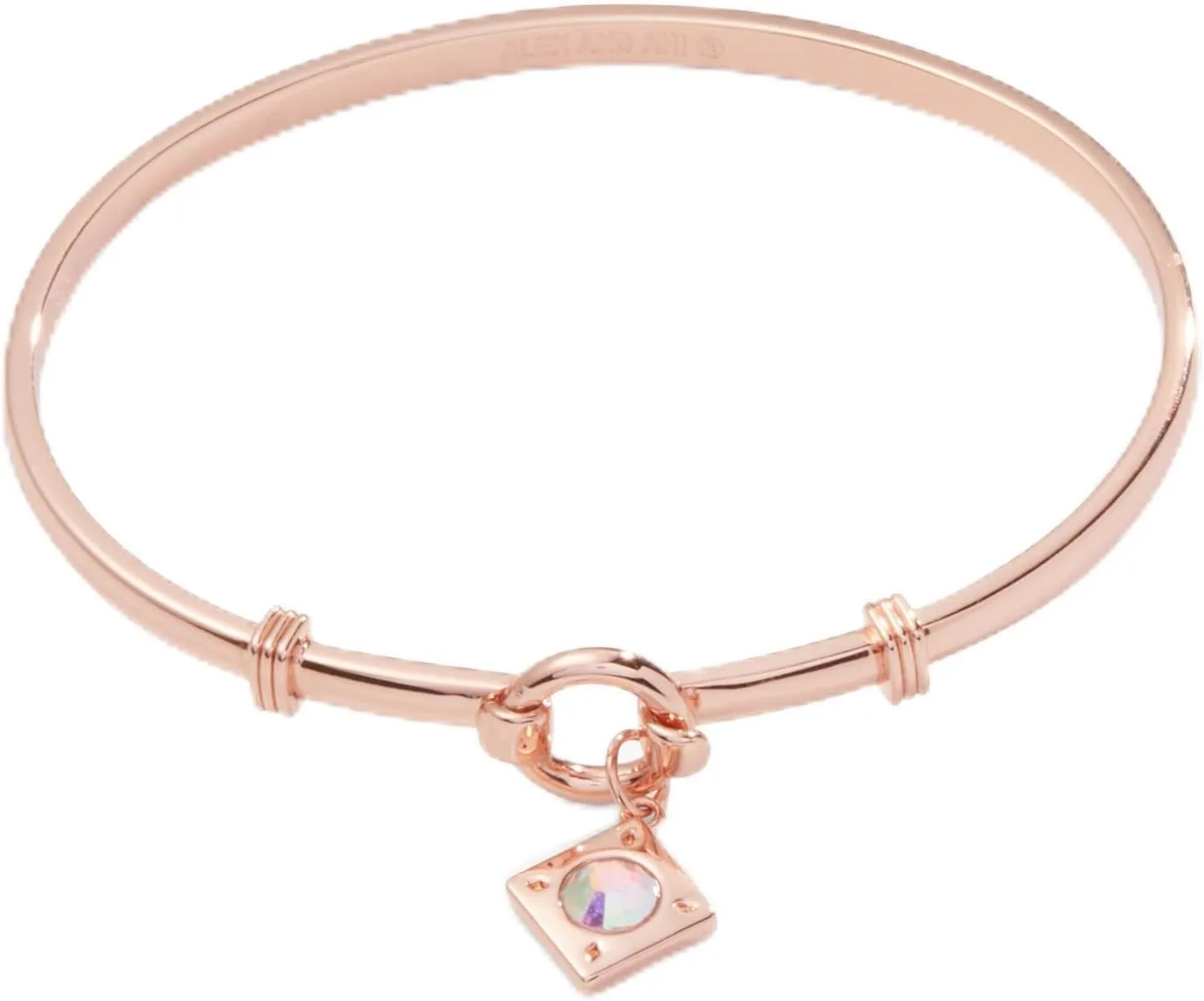 Alex and Ani Crystal Charm Clip Bangle