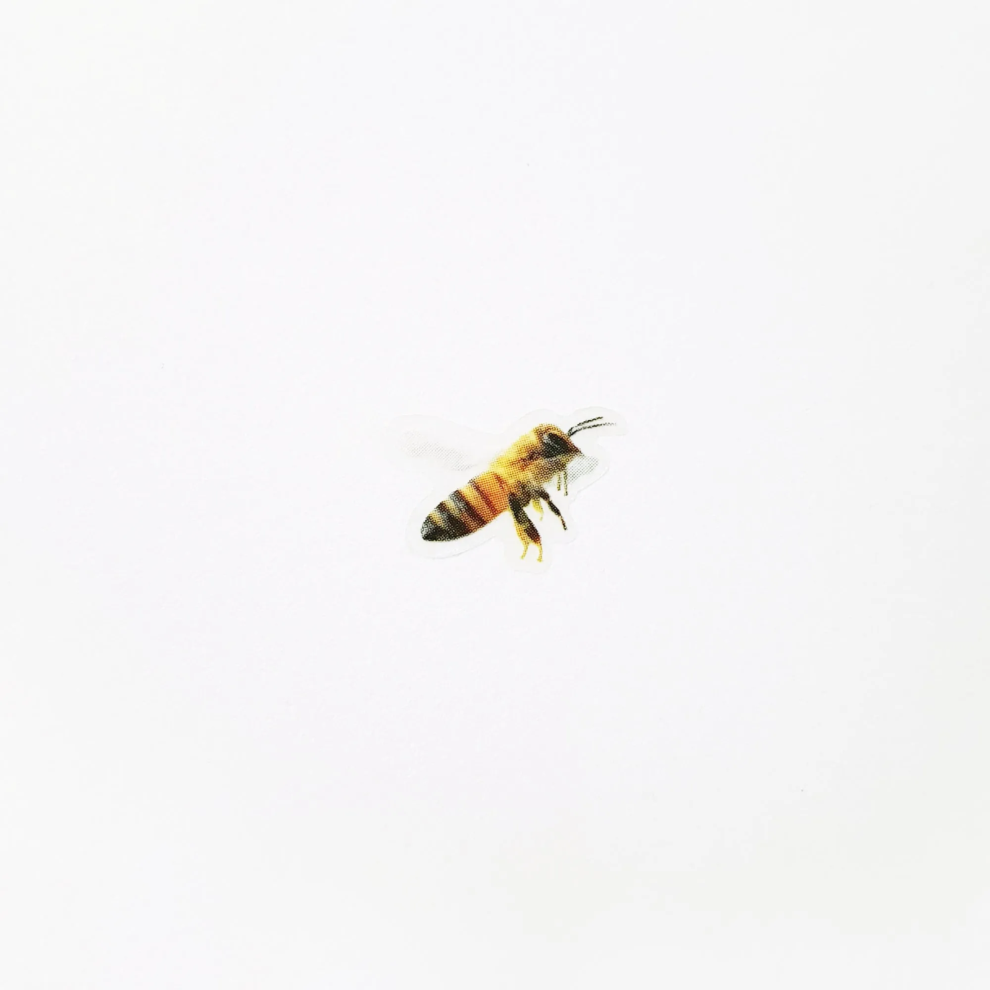 Appree Nature Sticker Honey Bee
