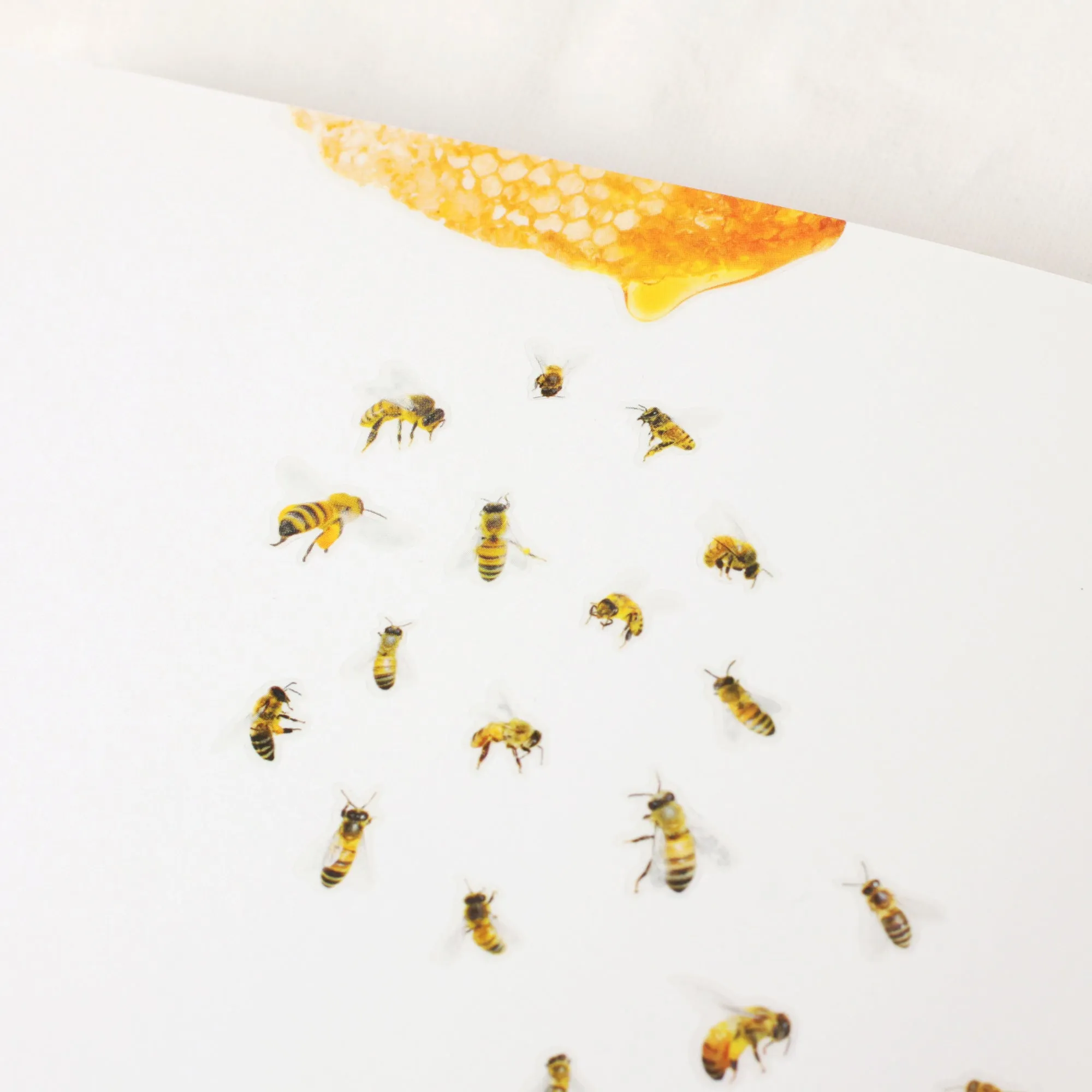 Appree Nature Sticker Honey Bee