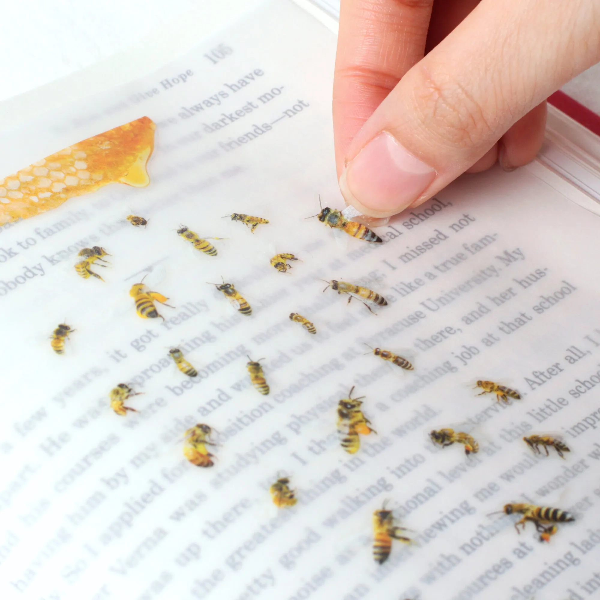 Appree Nature Sticker Honey Bee