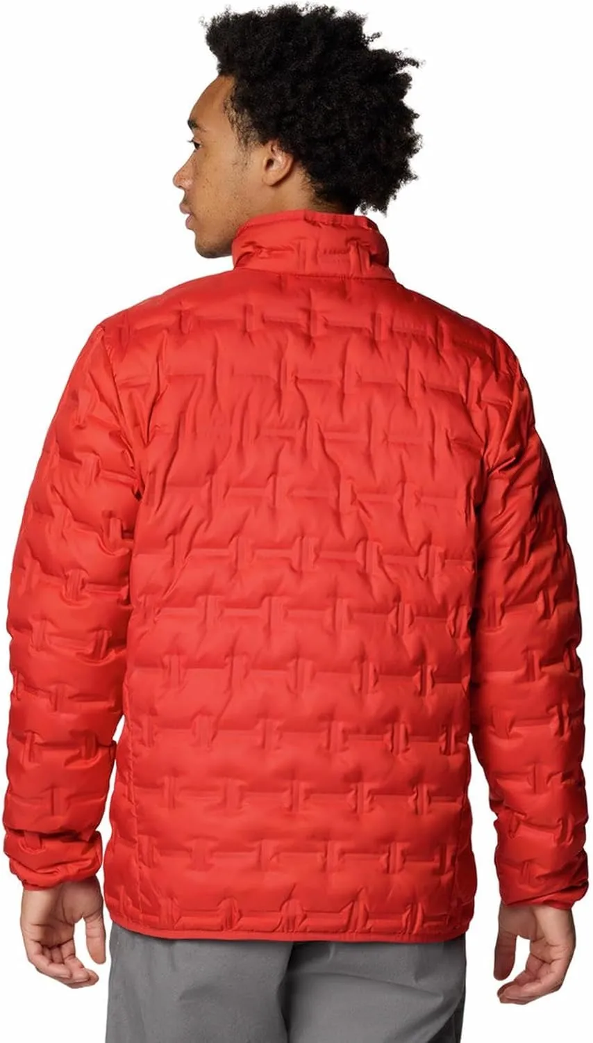 Columbia Men's Delta Ridge Ii Down Jacket