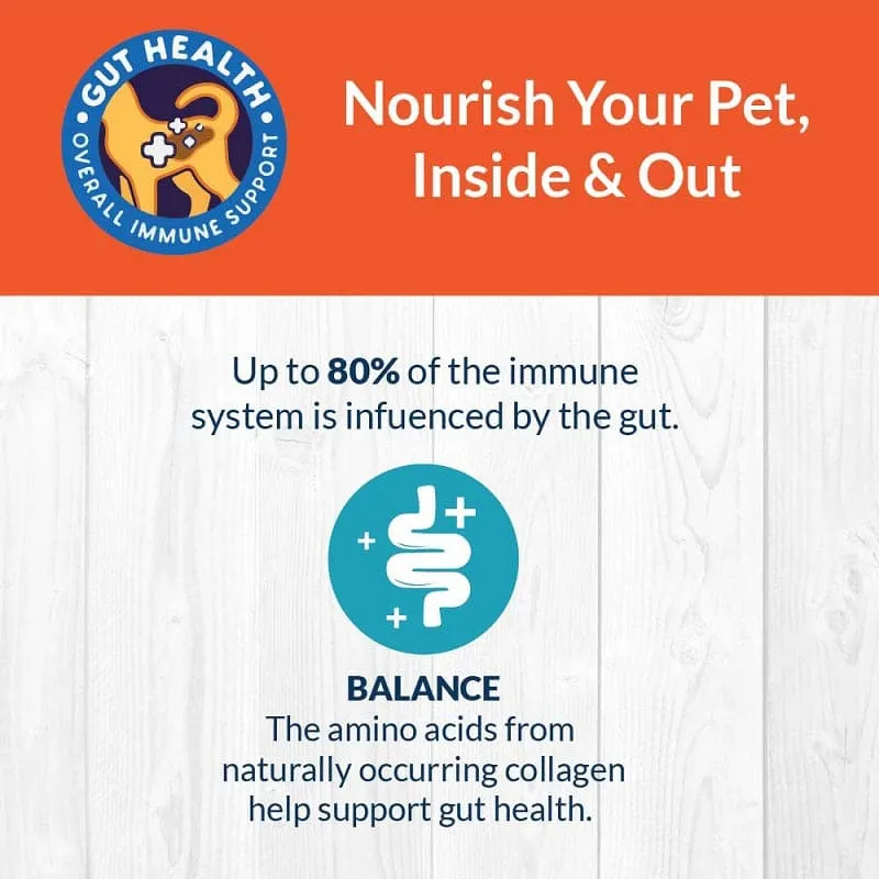 Goofy Tails Lamb Bone Broth for Dogs and Puppies-100ml