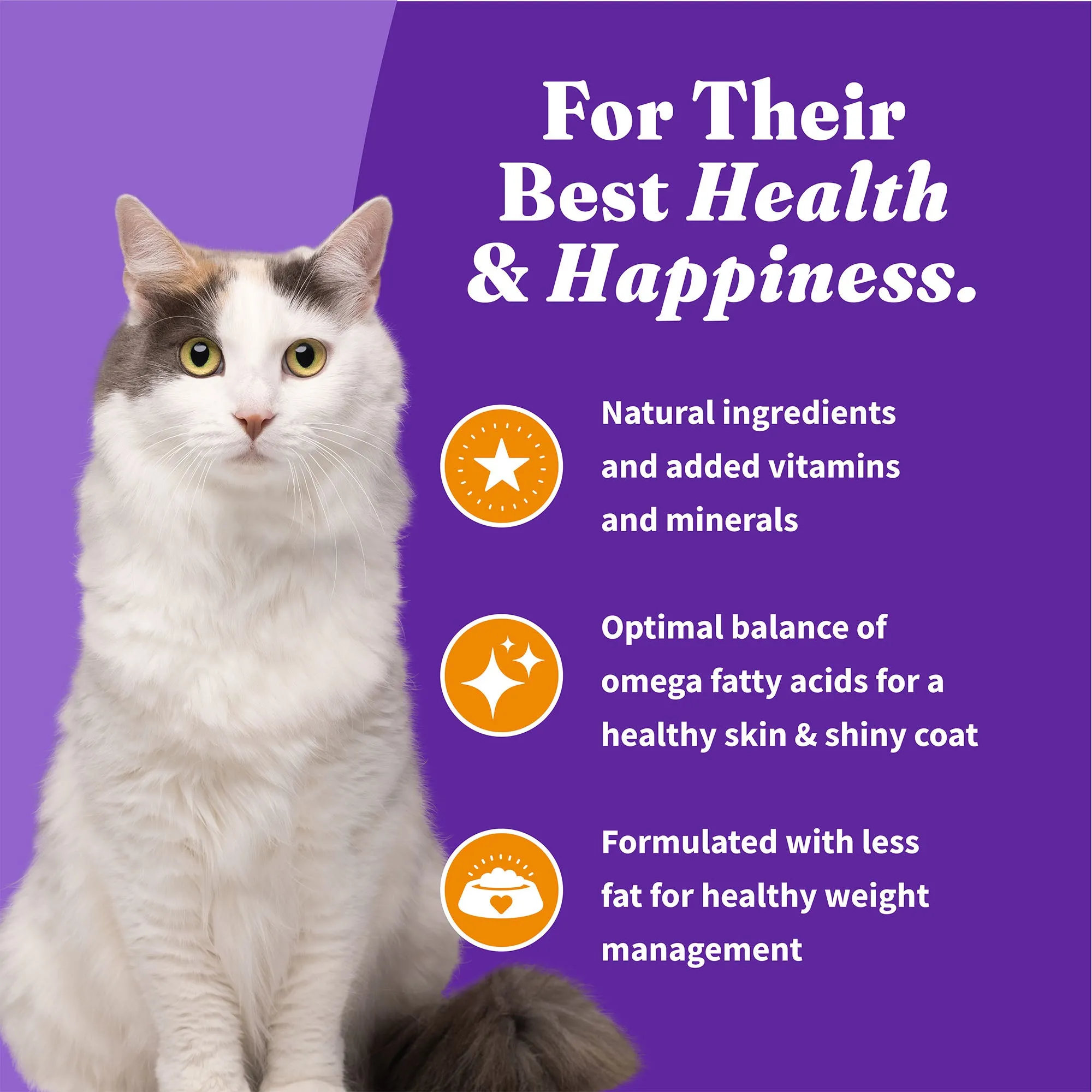 Holistic Healthy Weight Support Grain Free Chicken Recipe Indoor Dry Cat Food