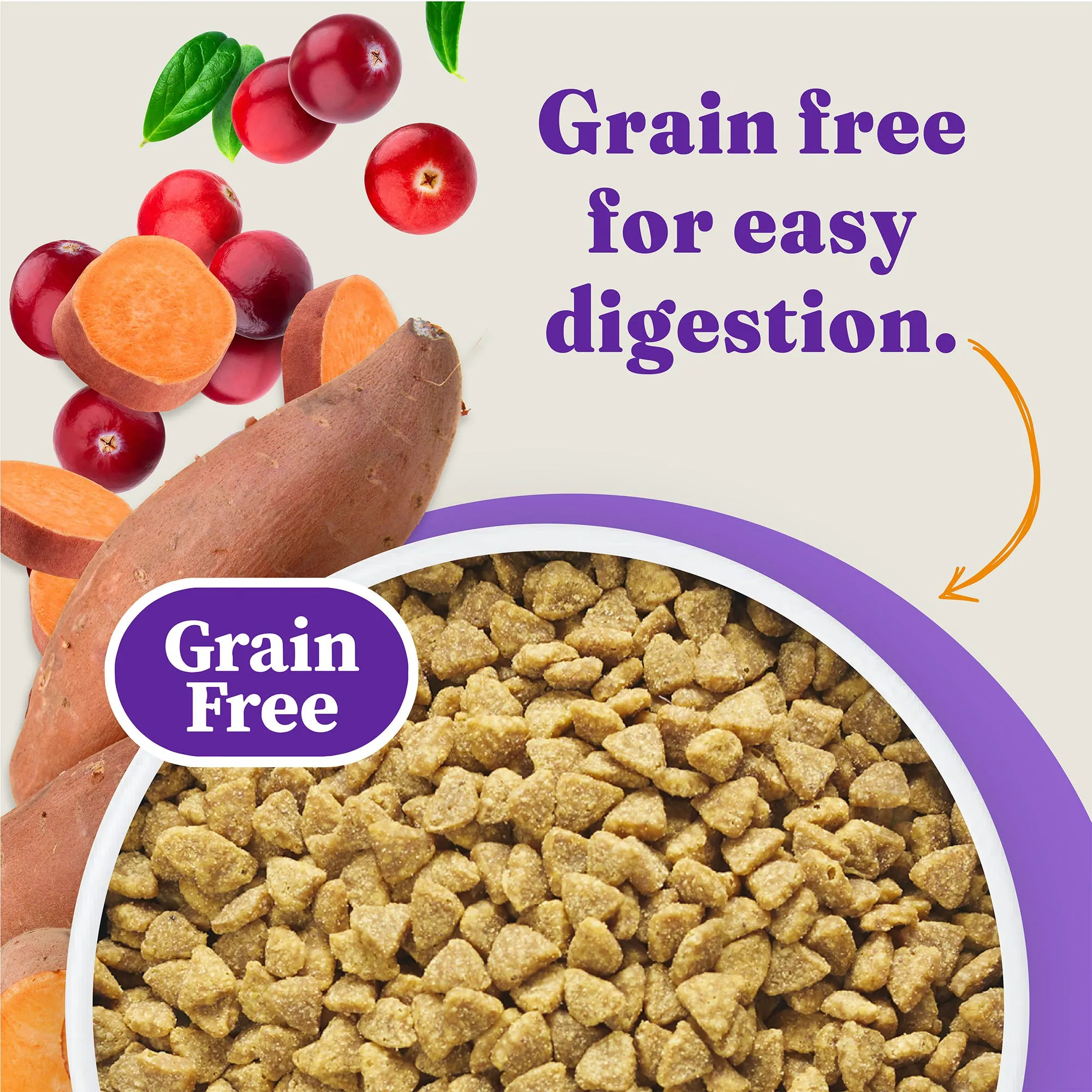 Holistic Healthy Weight Support Grain Free Chicken Recipe Indoor Dry Cat Food