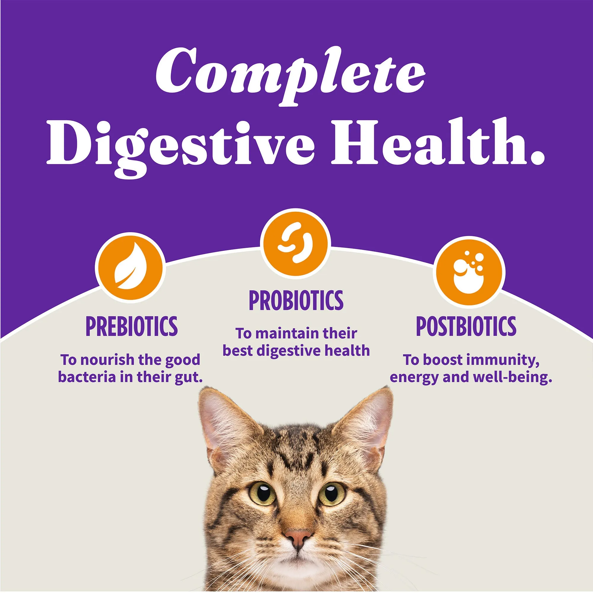 Holistic Healthy Weight Support Grain Free Chicken Recipe Indoor Dry Cat Food