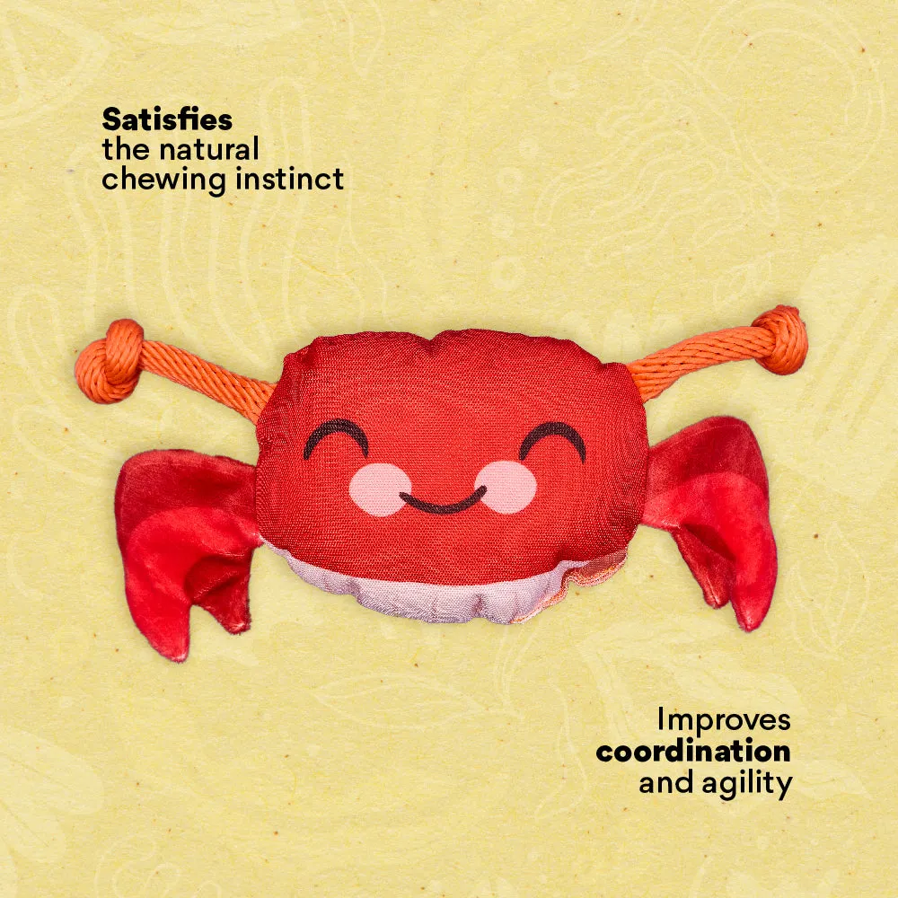 Kanu Pet Crab Plush Dog Toy
