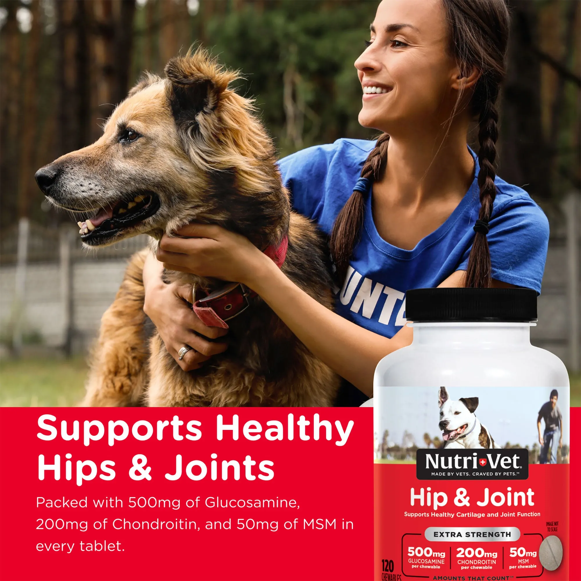 Nutri-Vet Hip & Joint Extra Strength Chewables 120 Count