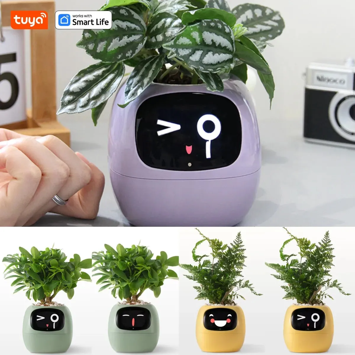 Pet Smart Planter Endless Fun Over 49 Rich Expressions,7 smart sensors ,AI Chips Make Raising Plants Easy and Fun