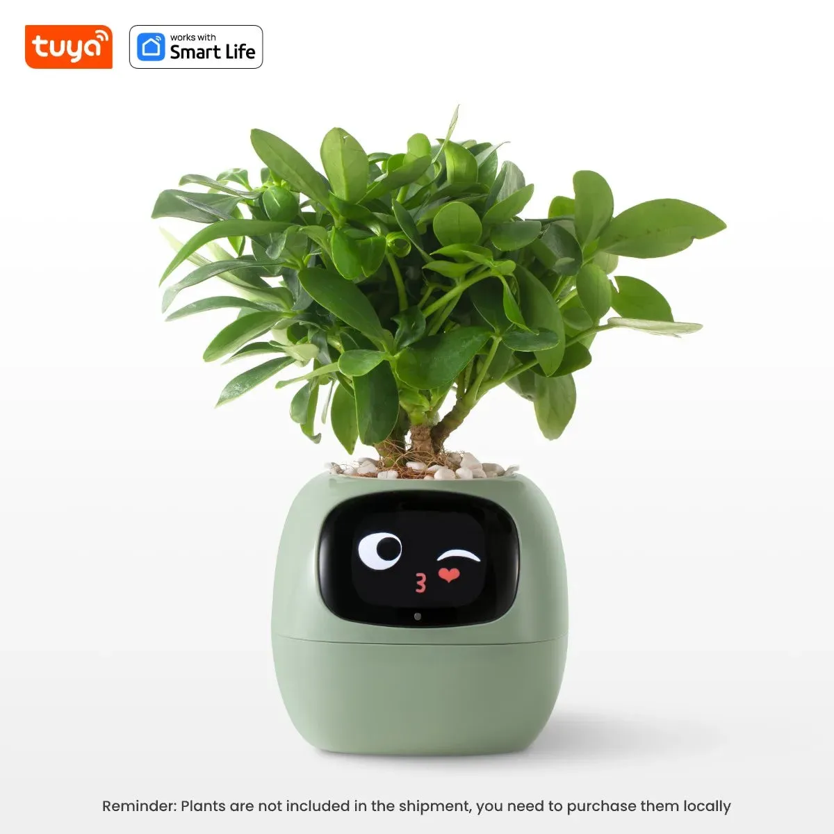 Pet Smart Planter Endless Fun Over 49 Rich Expressions,7 smart sensors ,AI Chips Make Raising Plants Easy and Fun