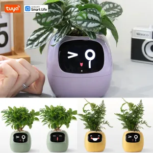 Pet Smart Planter Endless Fun Over 49 Rich Expressions,7 smart sensors ,AI Chips Make Raising Plants Easy and Fun