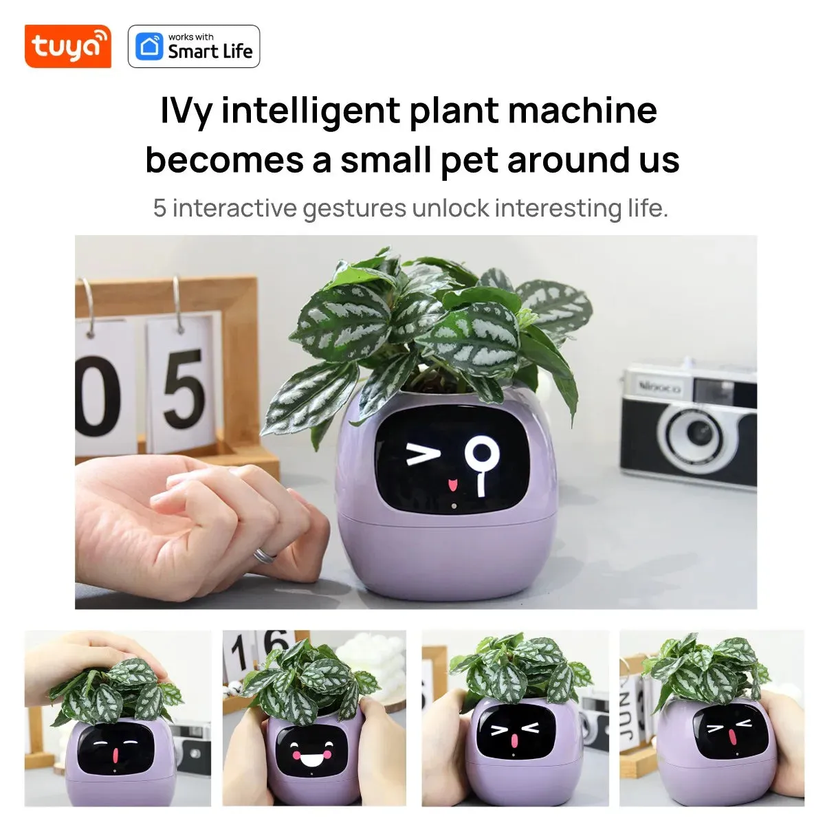 Pet Smart Planter Endless Fun Over 49 Rich Expressions,7 smart sensors ,AI Chips Make Raising Plants Easy and Fun