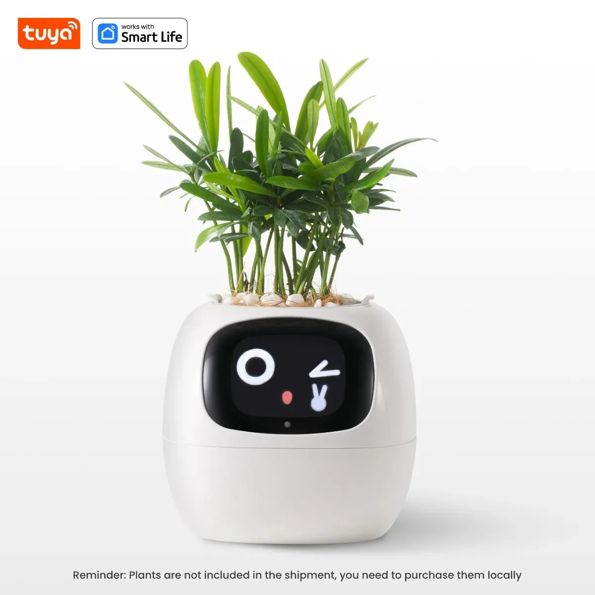 Pet Smart Planter Endless Fun Over 49 Rich Expressions,7 smart sensors ,AI Chips Make Raising Plants Easy and Fun