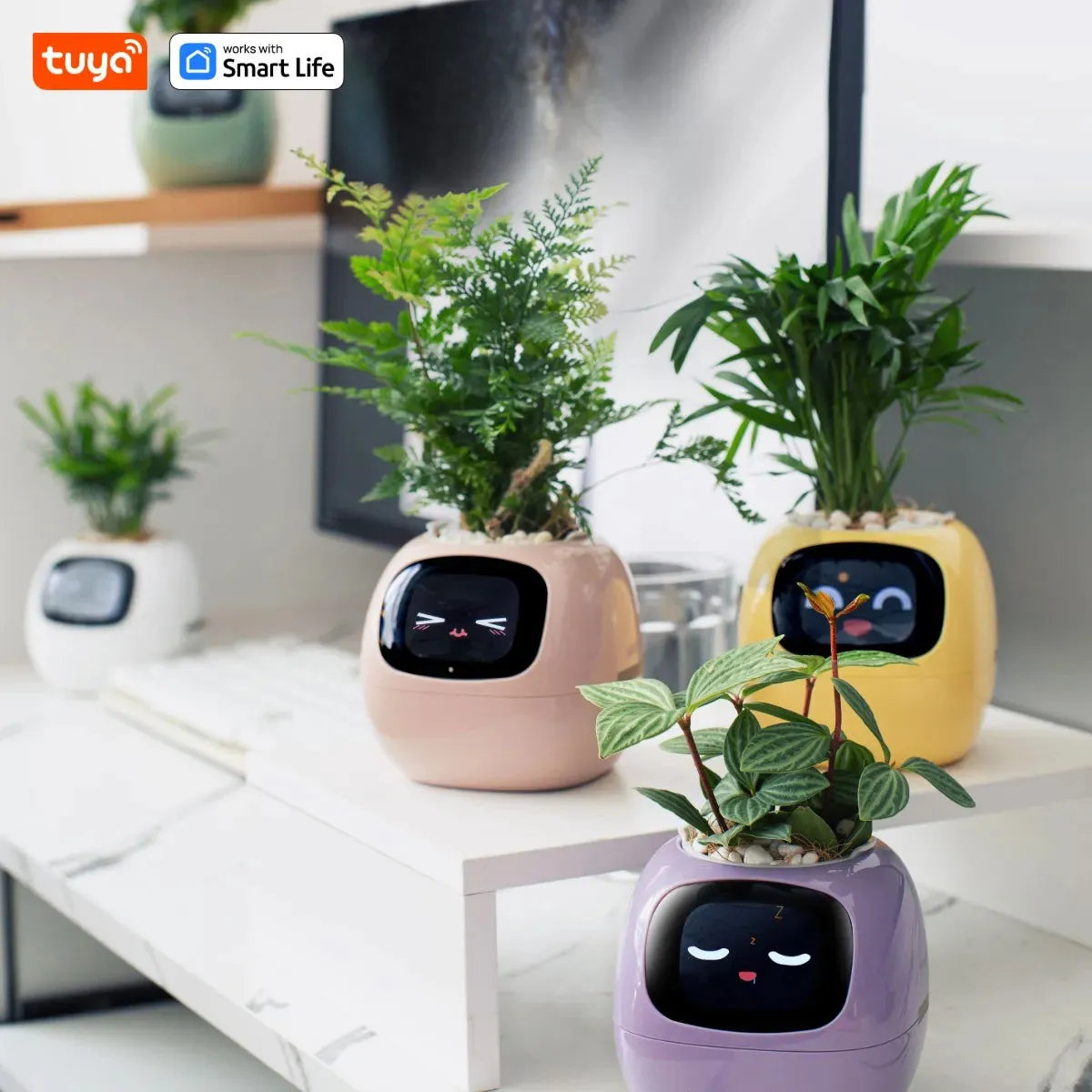 Pet Smart Planter Endless Fun Over 49 Rich Expressions,7 smart sensors ,AI Chips Make Raising Plants Easy and Fun