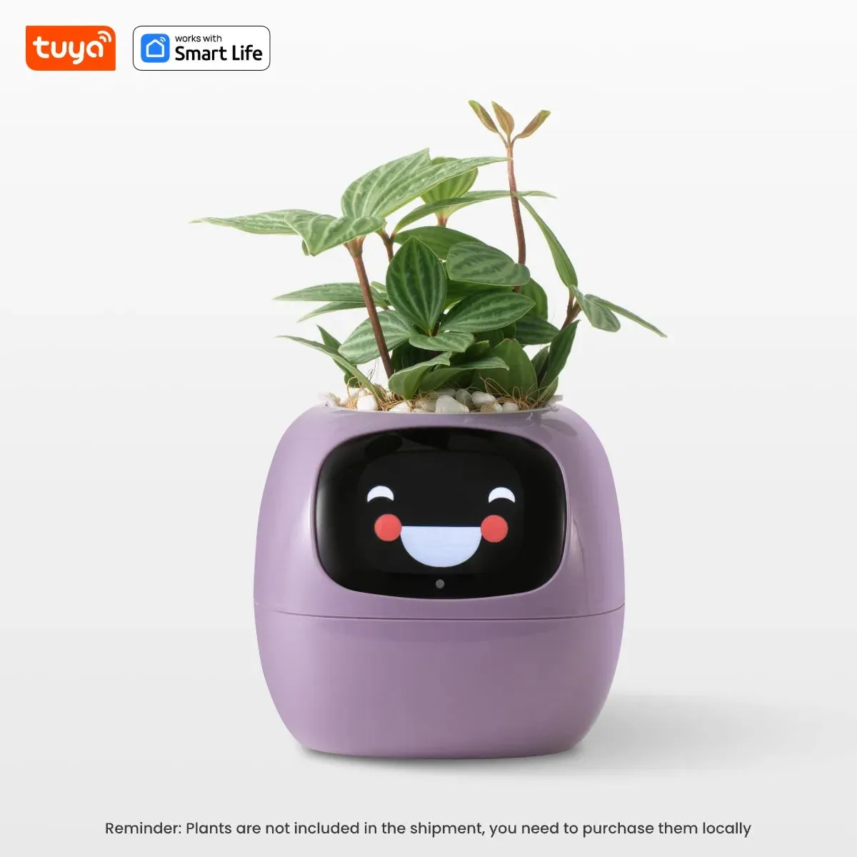 Pet Smart Planter Endless Fun Over 49 Rich Expressions,7 smart sensors ,AI Chips Make Raising Plants Easy and Fun