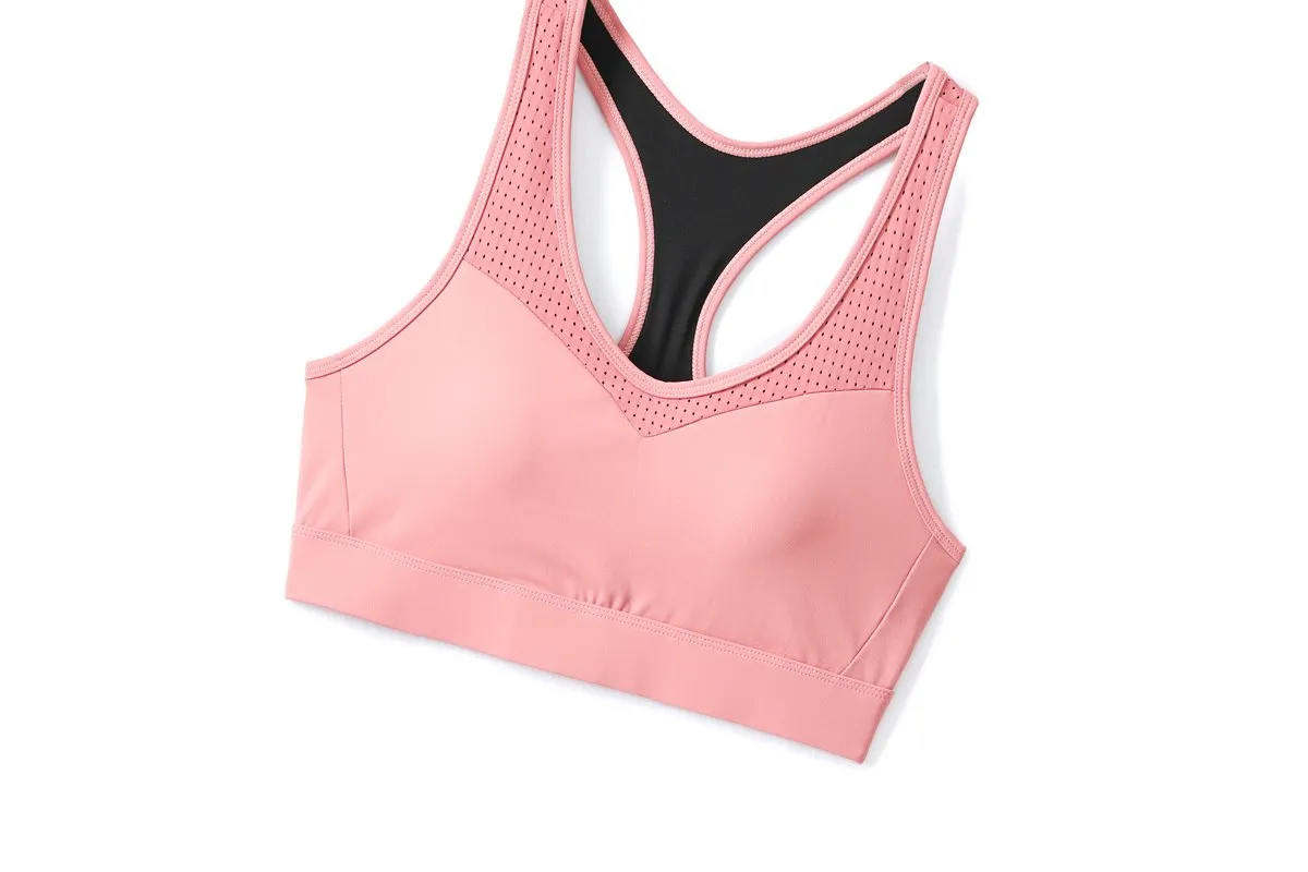Quinlyn Plus Size High Impact Sports Bra