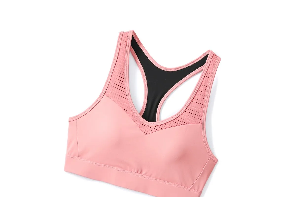 Quinlyn Plus Size High Impact Sports Bra