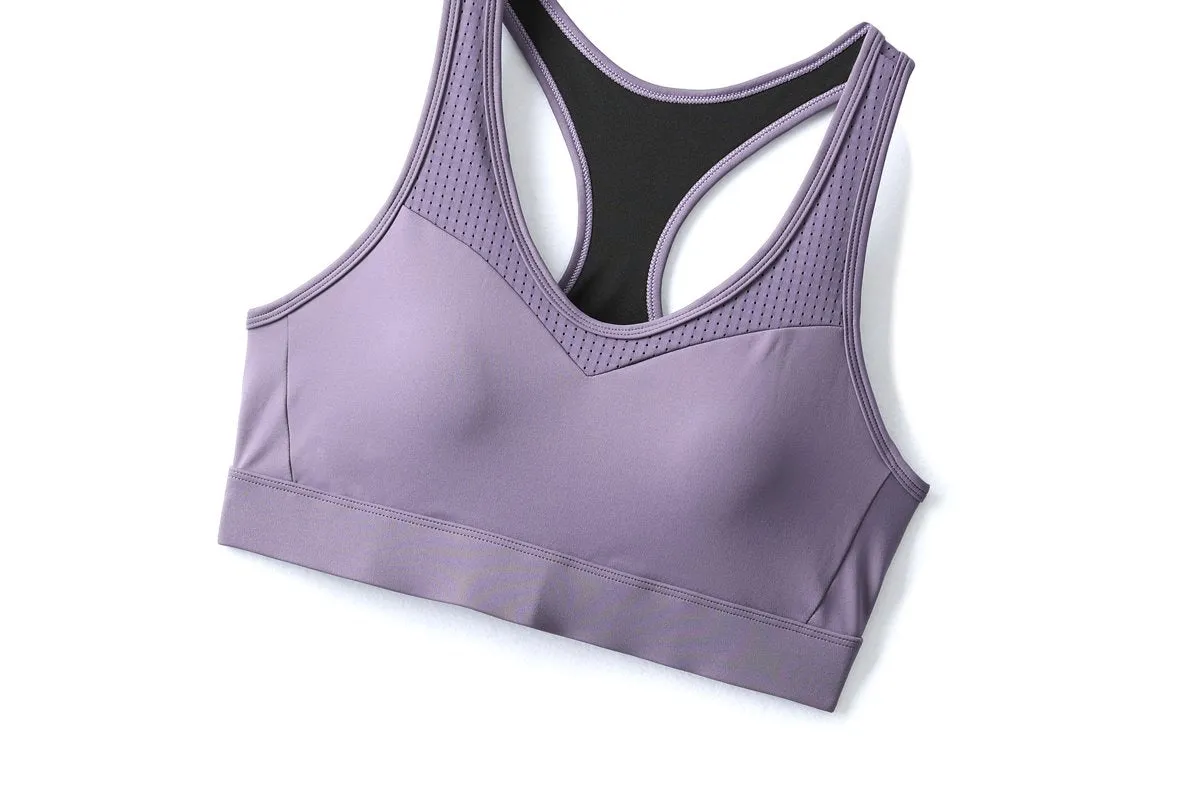 Quinter Plus Size High Impact Sports Bra