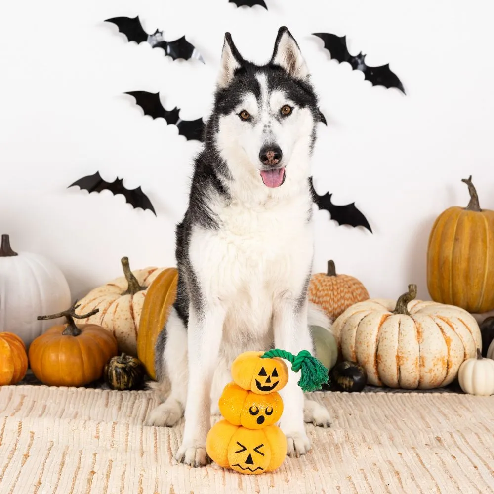 Stack O' Lantern Plush Dog Toy