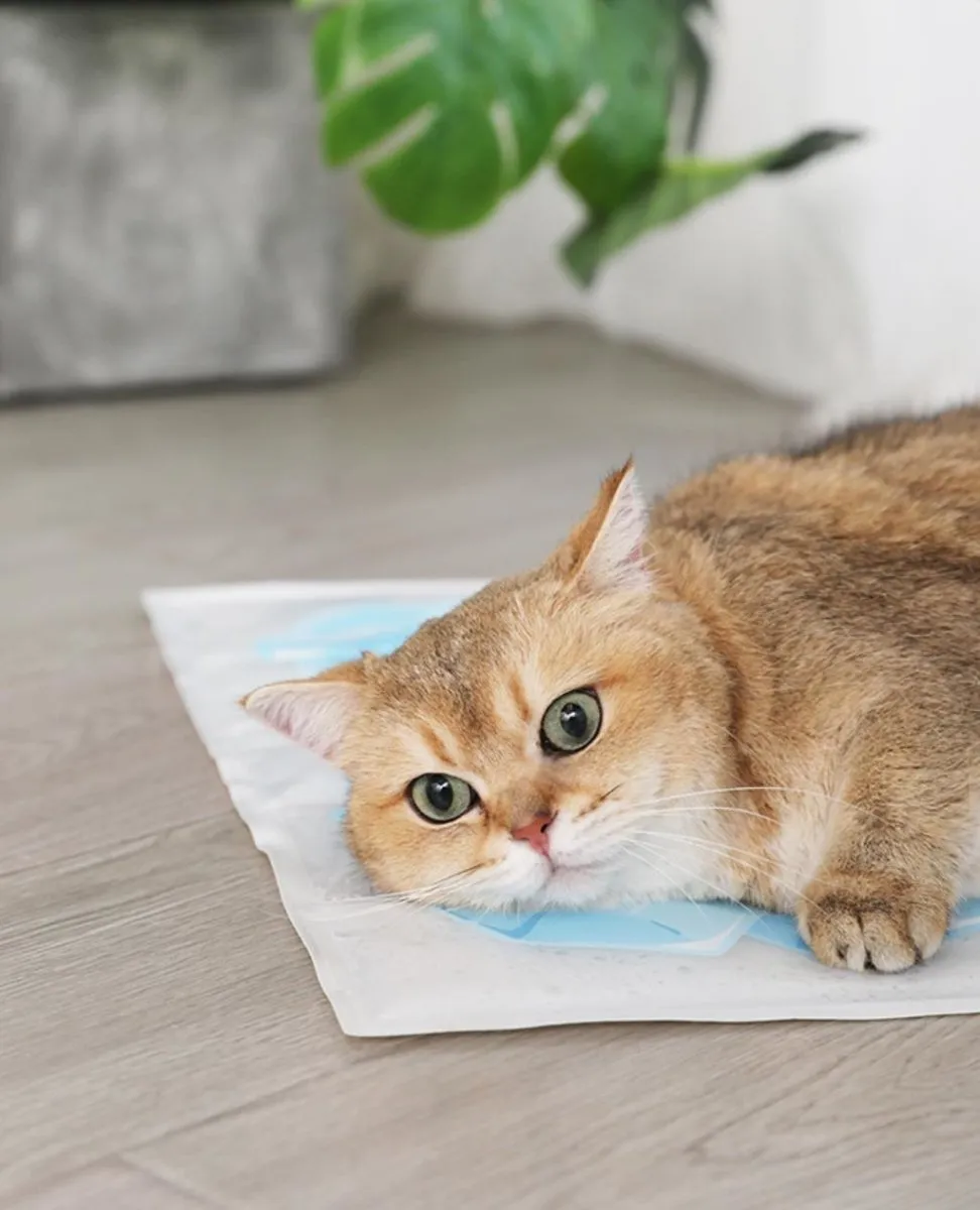 Summer Cooling Pet Ice Mat